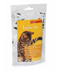 Candioli - Bolo via...