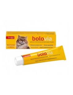 Candioli - Bolo via pasta...