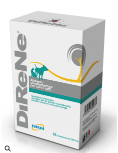 DRN DIRENE 32 compresse