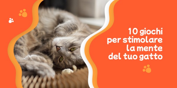 10 giochi divertenti per stimolare la mente del tuo gatto