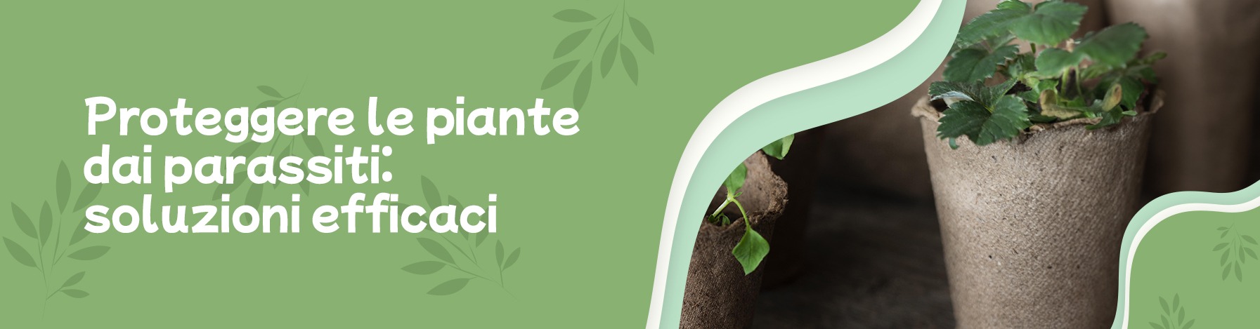 Proteggere le piante dai parassiti: soluzioni efficaci