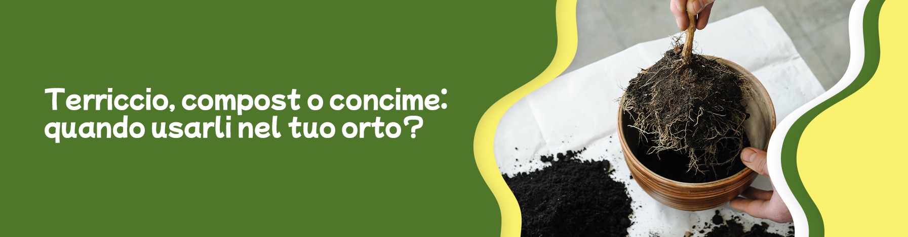 Terriccio, compost o concime? Quando usare l’uno o l’altro nel tuo orto domestico